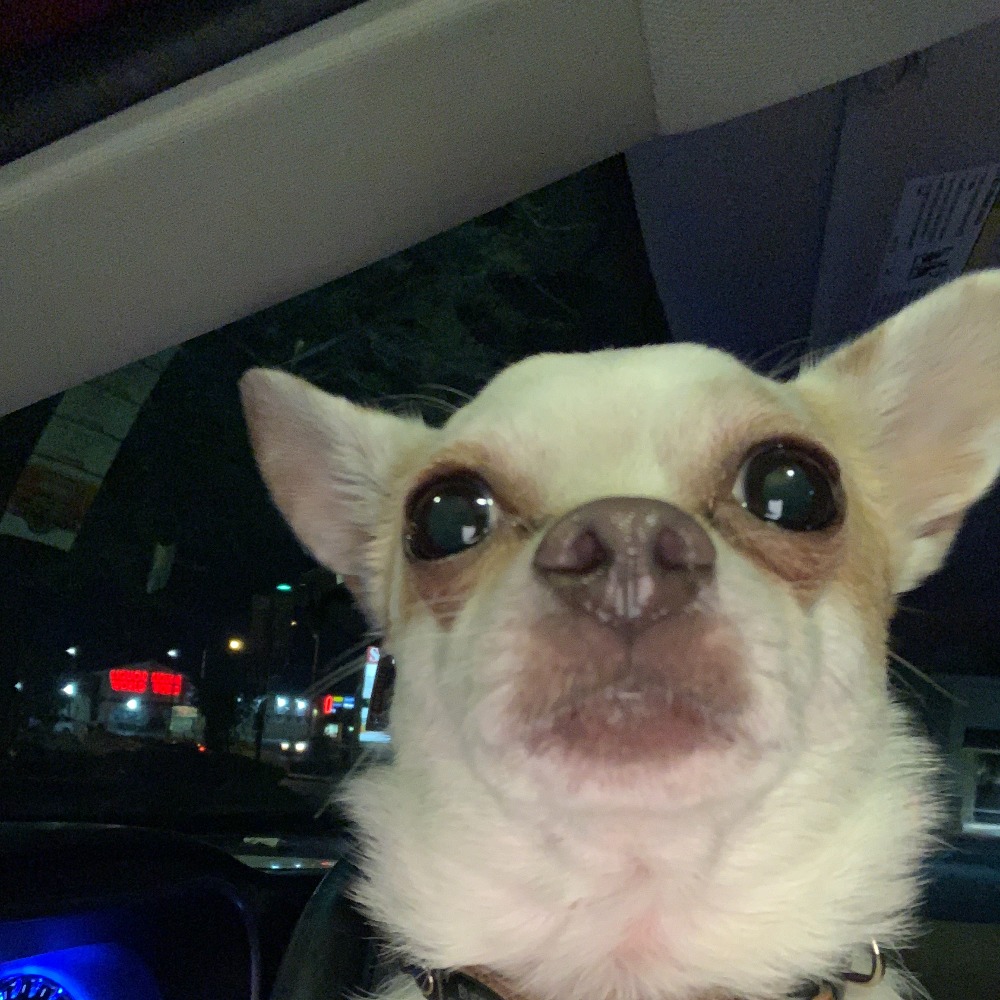 Meet your Posher,